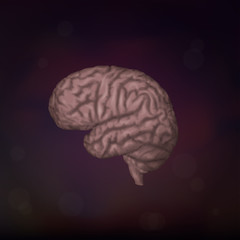 Human brain. Dark background. Vector medical illustration.