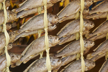 dried yellow corvina 