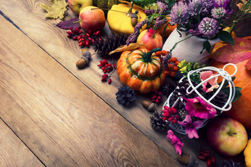 Fall background with pumpkins, clover and pink flowers, copy space