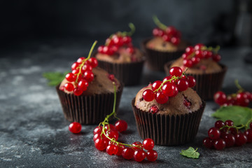 chocolate and red currant muffins
