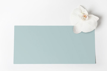 Blank greeting card with flower on white