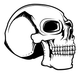 Monochrome illustration of skull isolated on white background