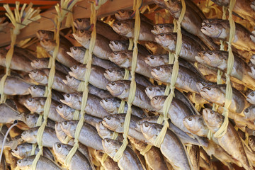dried yellow corvina 