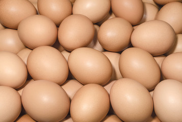 Brown eggs background