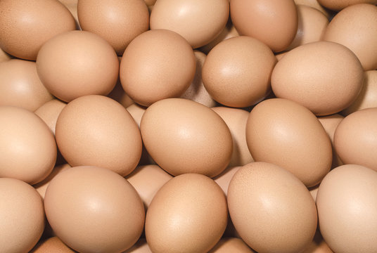 Brown eggs background