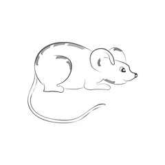 Funny mouse personage vector illustration isolated on white background. Cute wild animal, wildlife character in cartoon style.