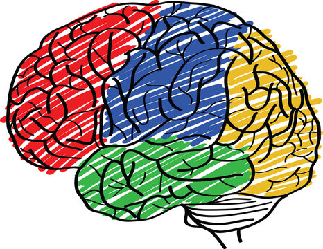 Human Brain Vector Outline Sketched Up, Vector Illustration EPS 10.
