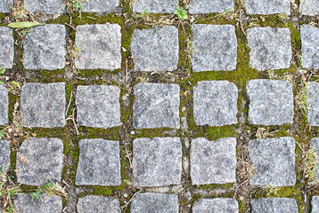 Obraz premium Paving stone texture