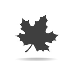 Fallen maple leaf. Vector icon.