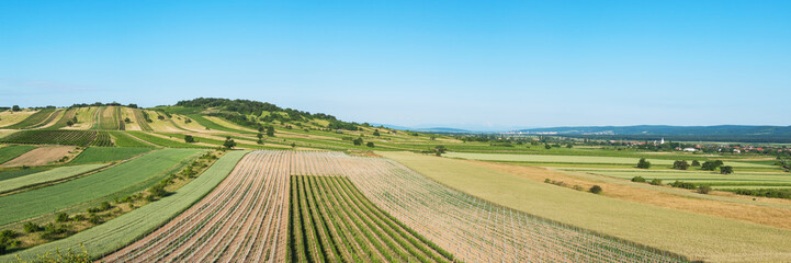 Landschaft mit Weingärten im nördlichen Burgenland bei Eisenstadt