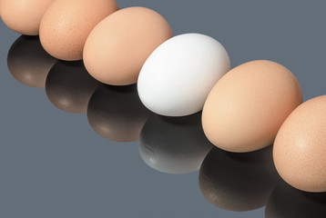 Row of chicken eggs on gray background