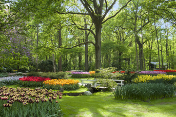 Parc florale de Keukenhof Pays Bas