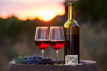 Two glasses of red wine and bottle in the vineyard at sunset © Rostislav Sedlacek
