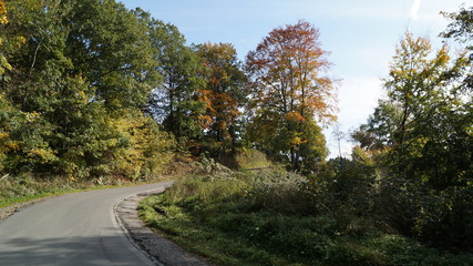 Route automnale