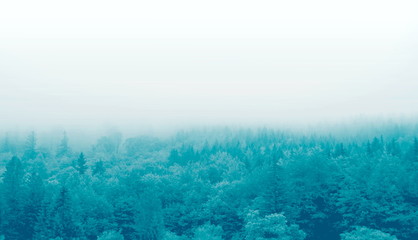 Fototapeta na wymiar mgła nad górskim lasem