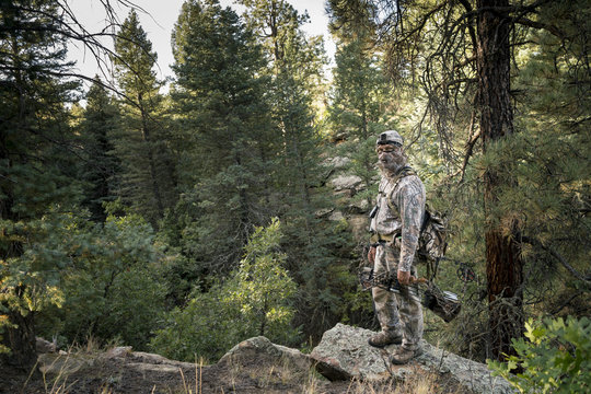 Elk Hunting in Colorado
