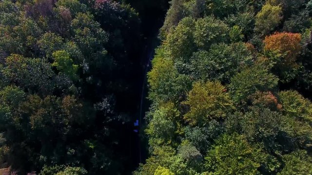 Aerial view of the road through the forest in autumn