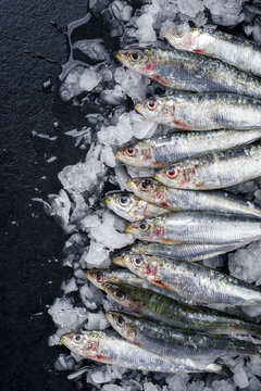 Raw sardine on ice offered as top view on a black slate