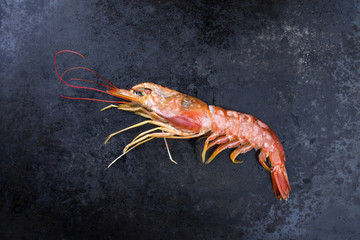 Raw black tiger prawn as top view on a black board