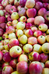fresh apple in fresh market