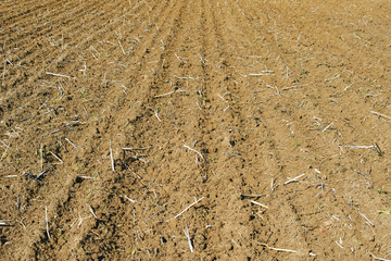 plough agriculture field before sowing