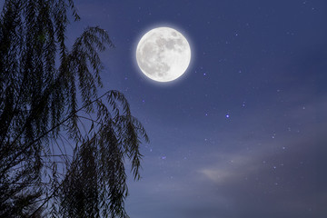 Blue night with full moon  over tree background. Romantic concept.