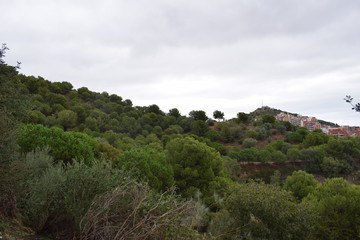 Fototapeta na wymiar City view over Barcelona Spain from Parc Güell