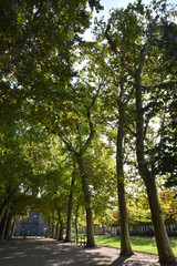 All&eacute;e bois&eacute;e du jardin du Luxembourg &agrave; Paris, France