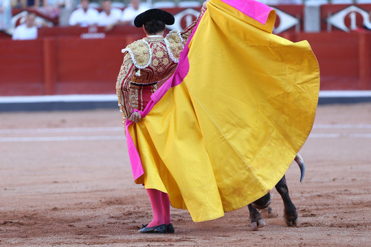 Torero y toro en la plaza