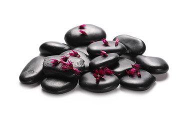 Fototapeta na wymiar Black spa stones with flower petals isolated on white background