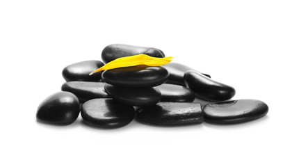 Black spa stones with flower petals isolated on white background