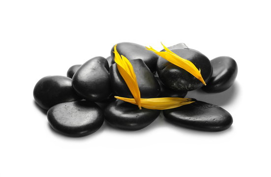 Black spa stones with flower petals isolated on white background