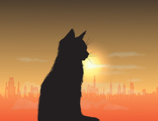 night city cat