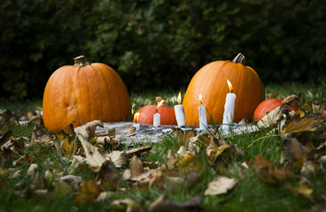 Pumpkins and candles on the grass with autumn leaves. Autumn Halloween Background