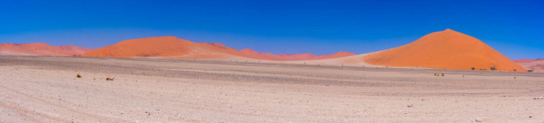 Fototapeta na wymiar Colorful sand dunes and scenic landscape in the Namib desert, Namib Naukluft National Park, tourist destination in Namibia. Travel adventures in Africa. High resolution panorama.