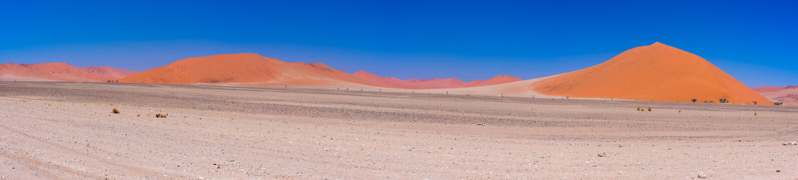 Colorful sand dunes and scenic landscape in the Namib desert, Namib Naukluft National Park, tourist destination in Namibia. Travel adventures in Africa. High resolution panorama.