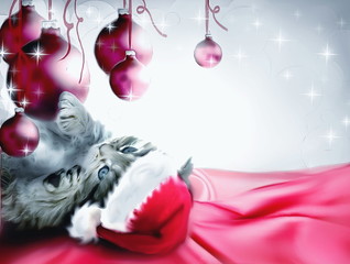 Cute christmas greeting card with small kitten