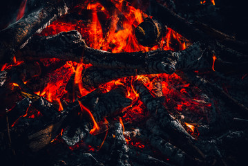 Fire, tourism, in the woods. Red fire, tonal correction