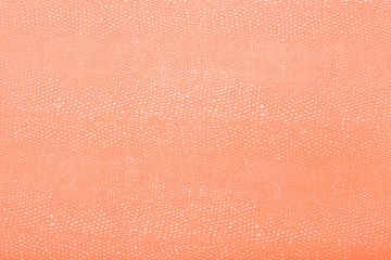 High resolution texture. Background. Skin.