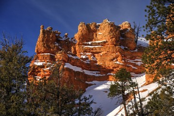 Naklejka premium Snow on the Hoodoos Along the Fairyland Loop Trail in Bryce Canyon National Park