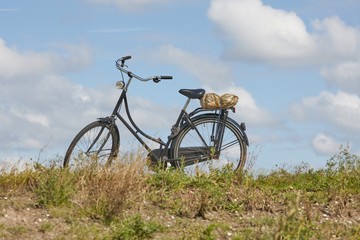 Naklejka na ściany i meble Bicycle in the country