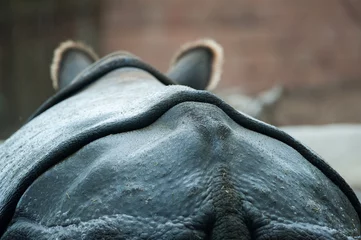 Papier peint photo autocollant rond Rhinocéros Gros plan de dos de rhinocéros