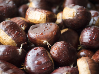 Chataîgnes et Marrons