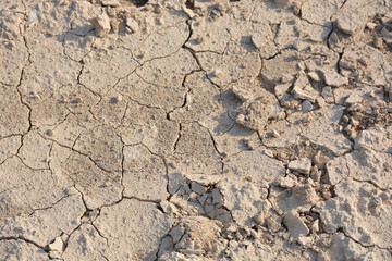 dry soil