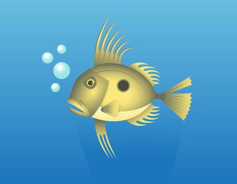 John Dory Fish. Vector Illustration Of A John Dory or Saint Pierre Fish or Saint Peter Fish or Zeus faber.