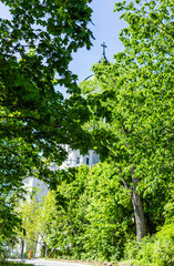 St Joseph's Oratory on Mont Royal with dome framed by green trees during bright sunny day in Quebec region city