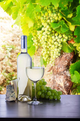 Bottle and glass with white wine in vineyard