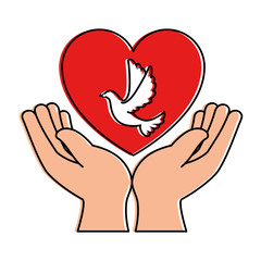 hands human with dove of peace and heart
