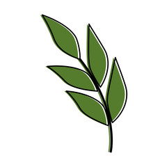 olive branch isolated icon