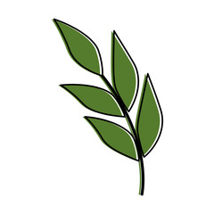 Obraz premium olive branch isolated icon